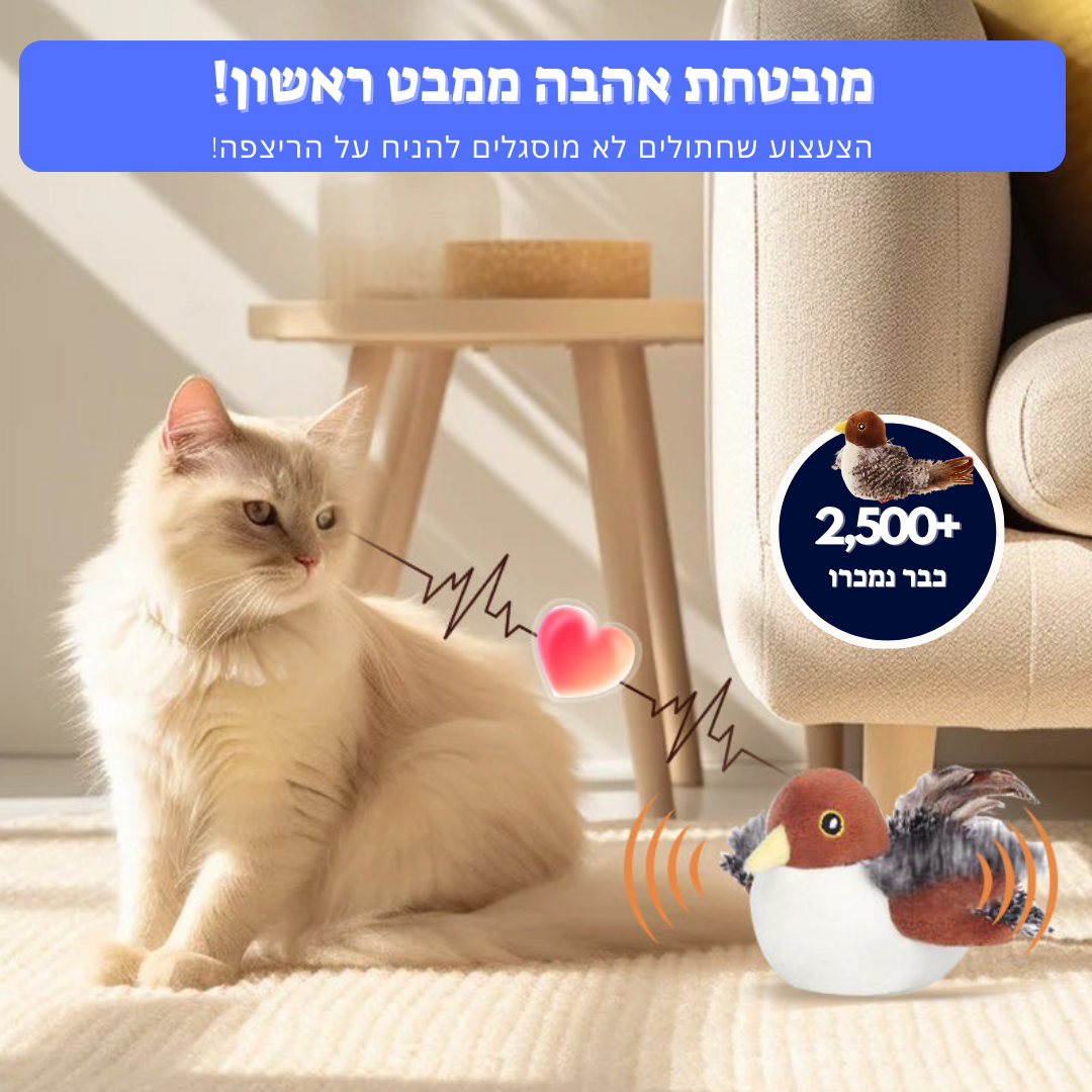 ChickChick™ - משחק מטריף לחתולים בכל גיל